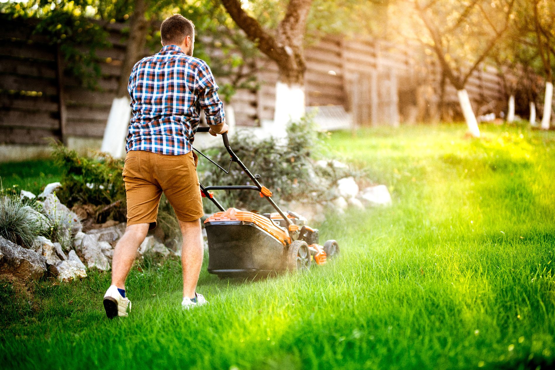 5 Practical Summer Lawn Care Tips for Lakeville, MN Paradise Property